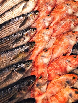 A vibrant display of fresh fish in a market setting, showcasing variety and texture.