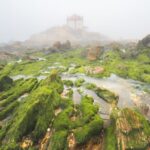 Moss-covered rocks leading to a chapel in misty coastal Portugal. Serene and mystical atmosphere.