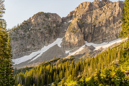 Stunning view of rugged mountains and lush evergreens in Alta, UT.